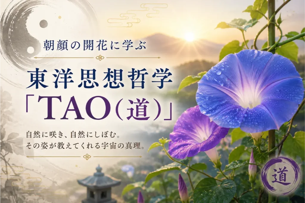 朝顔の開花に学ぶ東洋思想哲学「TAO（道）」｜ゆき胡蝶の東洋占星術